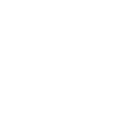 Icono de un escudo